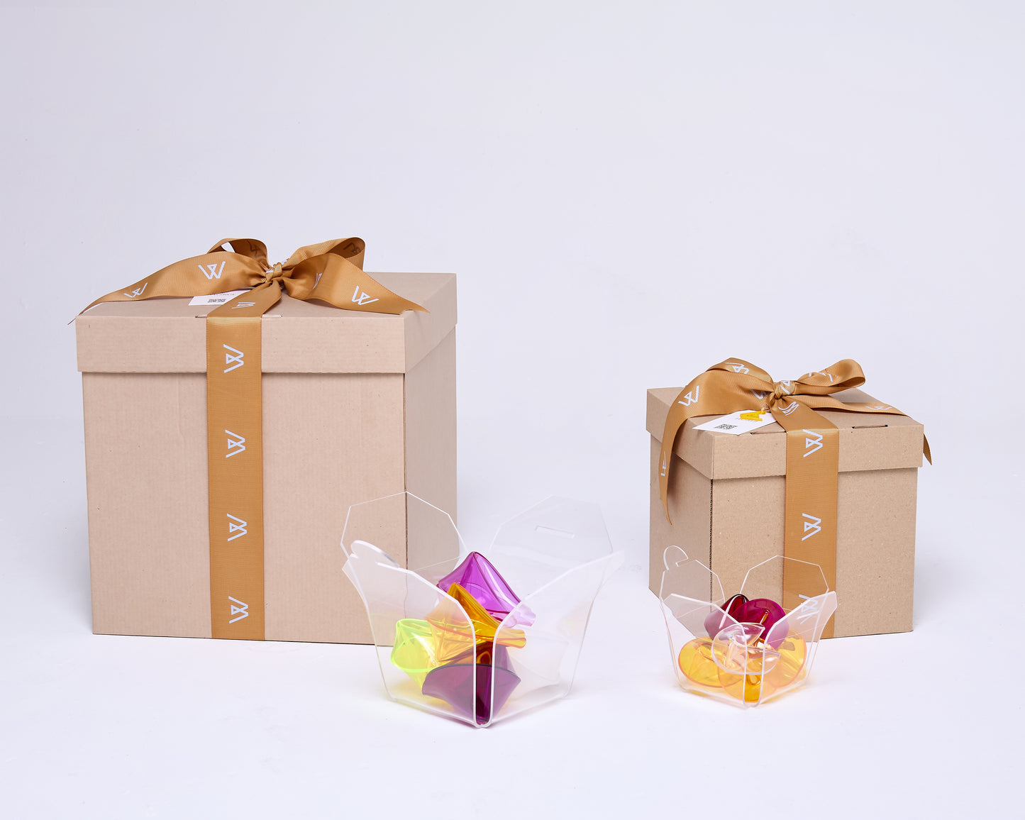 Fortune Cookie Box Regular