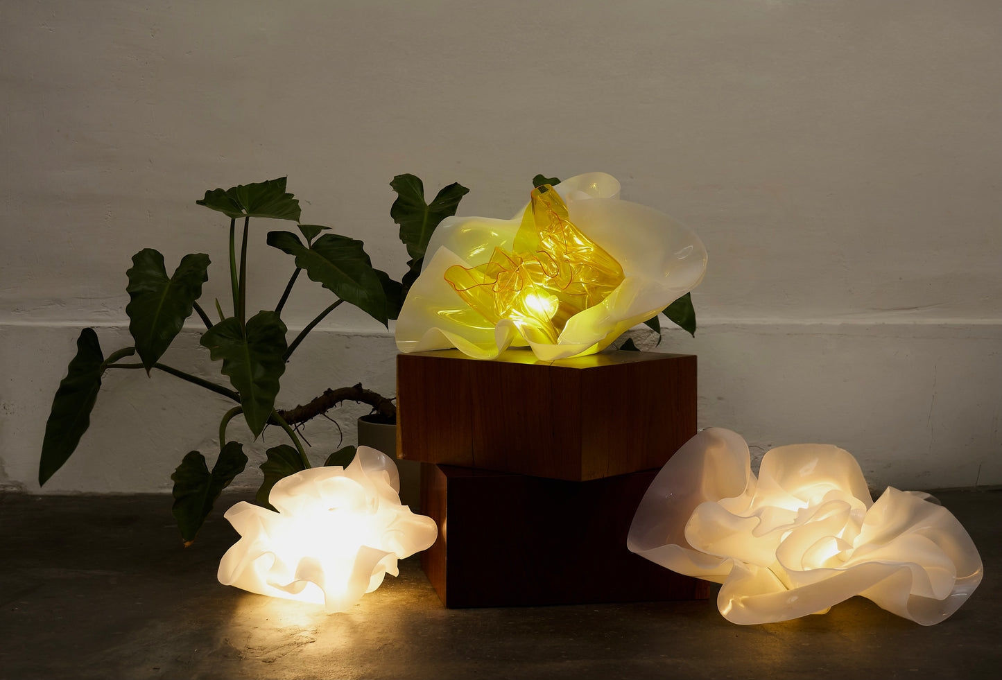 Die Blumen Lampe - Regular